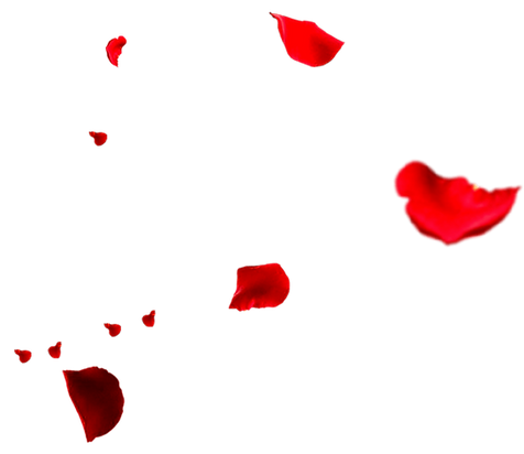 hnet.com-image (4).png