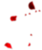 hnet.com-image (6).png