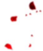 hnet.com-image (6).png
