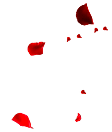 hnet.com-image (6).png