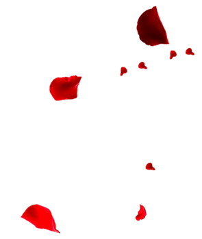 hnet.com-image (6).png