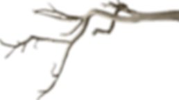hnet.com-image (5).png