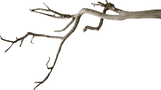 hnet.com-image (5).png