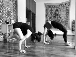 Ashtanga led classes and mysore style at Yoga Fusion Shala