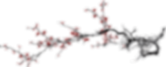 hnet.com-image (6).png