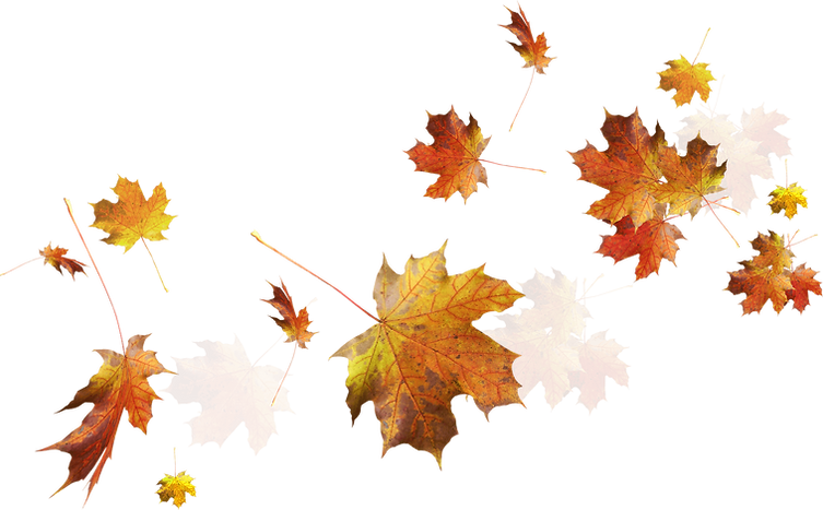 Artistic design element enhancing website aesthetics