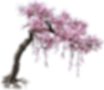 hnet.com-image (7).png