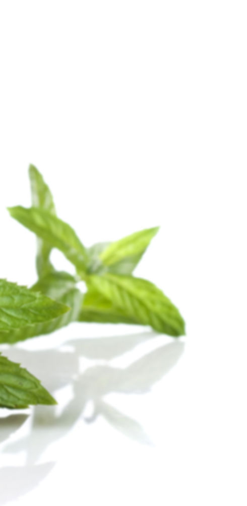 Gohar Ltd.| Rice, Green Tea Sencha, Saffron