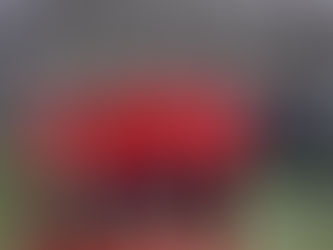 Nehéz kezdés után csapatunk az Issimo otthonában hengerelt