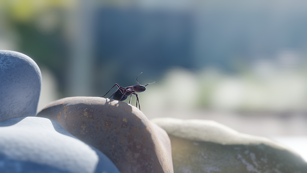 hiddenworlds.png