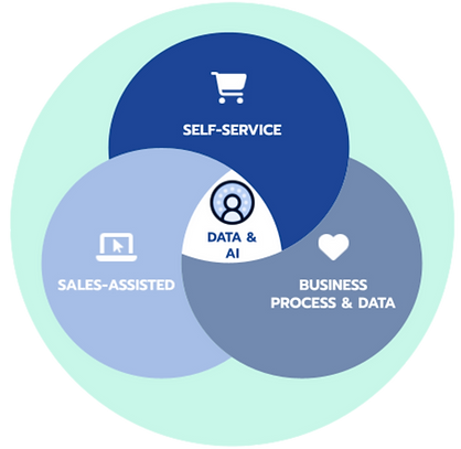 Saltbox Mgmt Themes.png