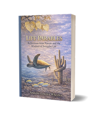 FoilHardCover.png