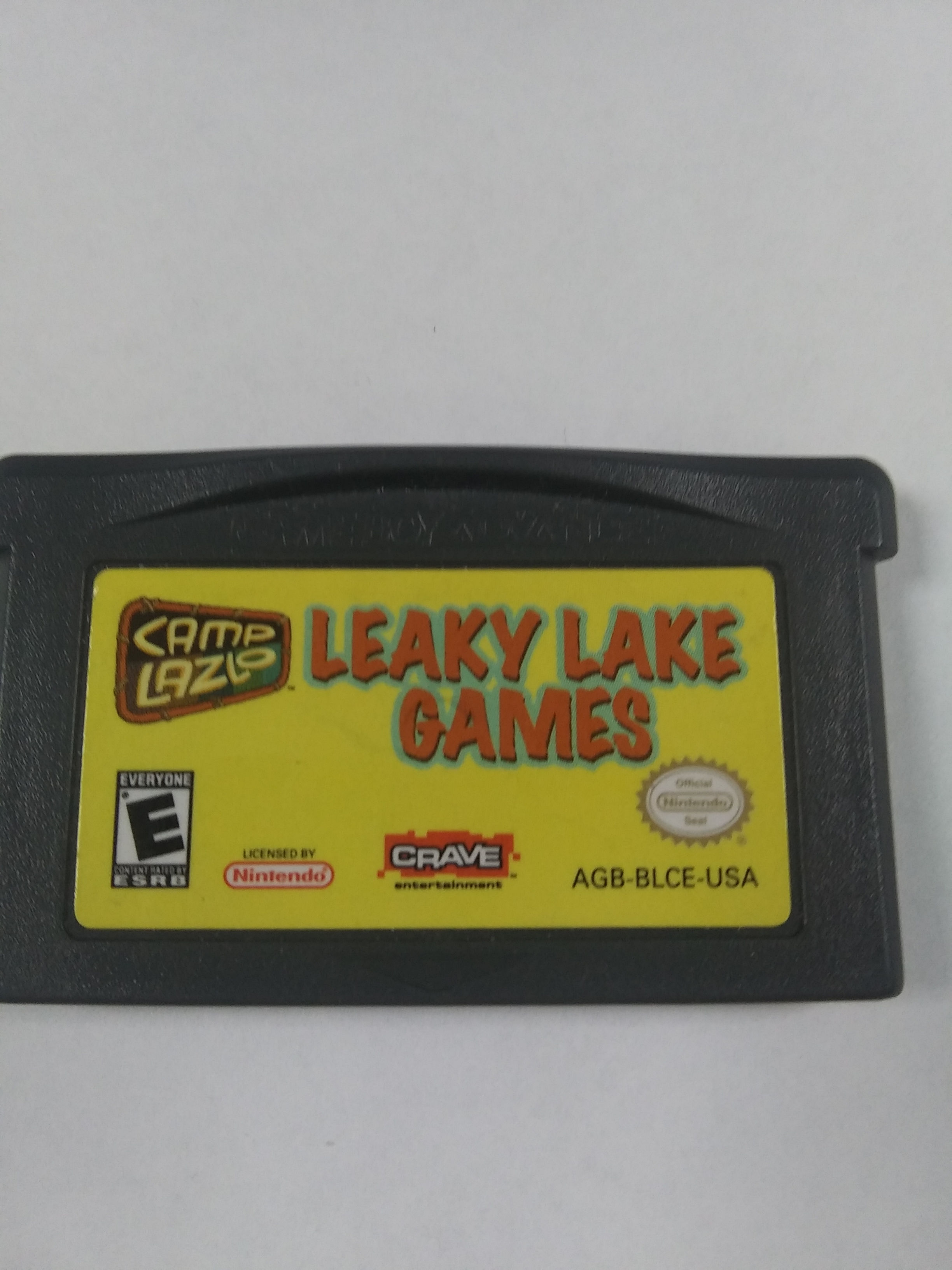 Camp Lazlo Leaky Lake Games