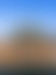 11 Tourist Things to Do in Brussels + Itineraries