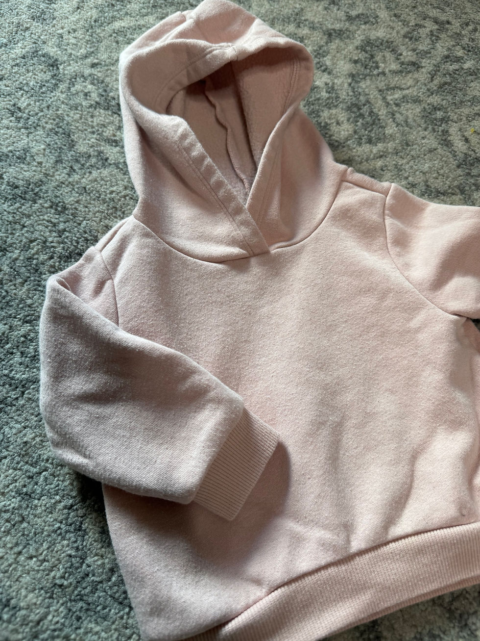 Thumbnail: Blush Infant Hoodie (6 months)