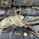 Thumbnail: Old Navy Jean Jacket in Dark Blue Denim (M)