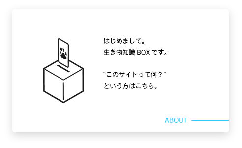 アセット 28.png