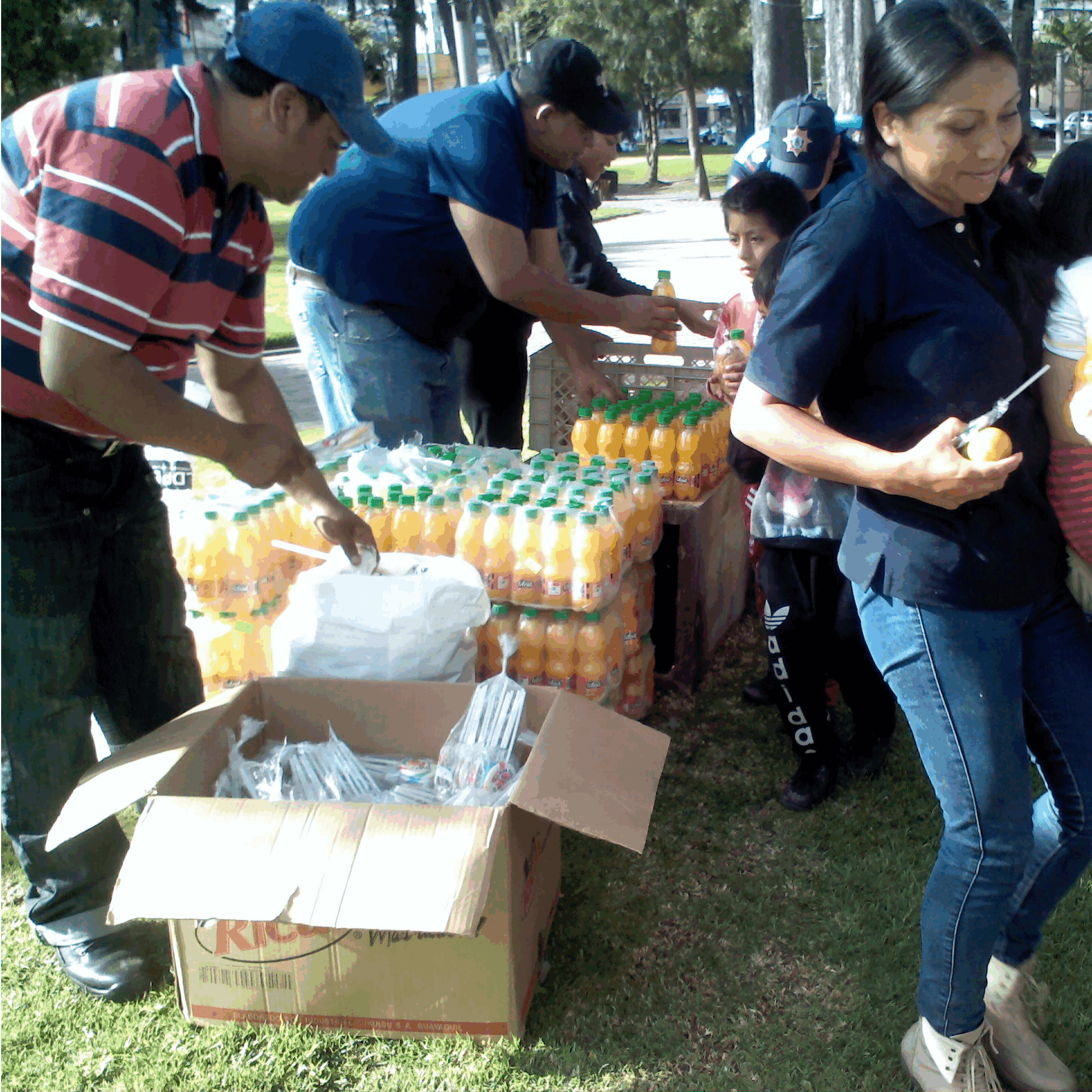 ALIMENTOS2