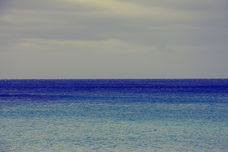 IMG_1876inkW.jpg