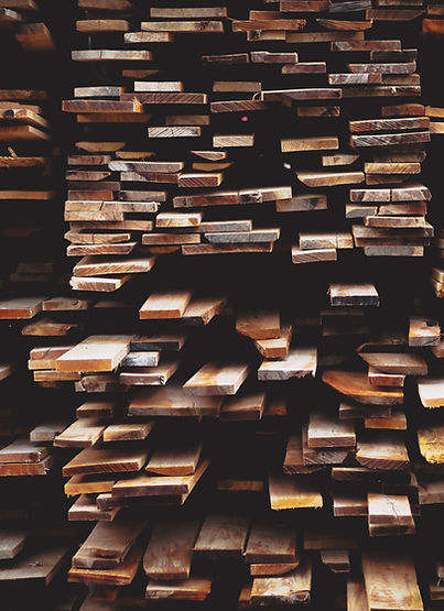 Wood Piles