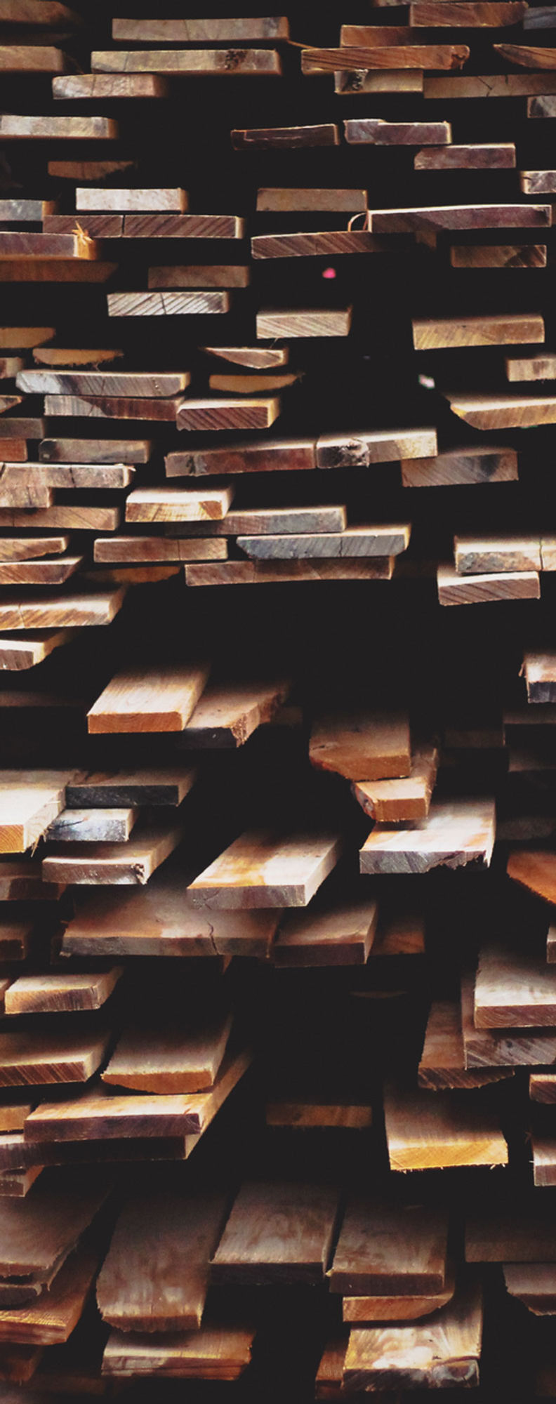 Wood Piles