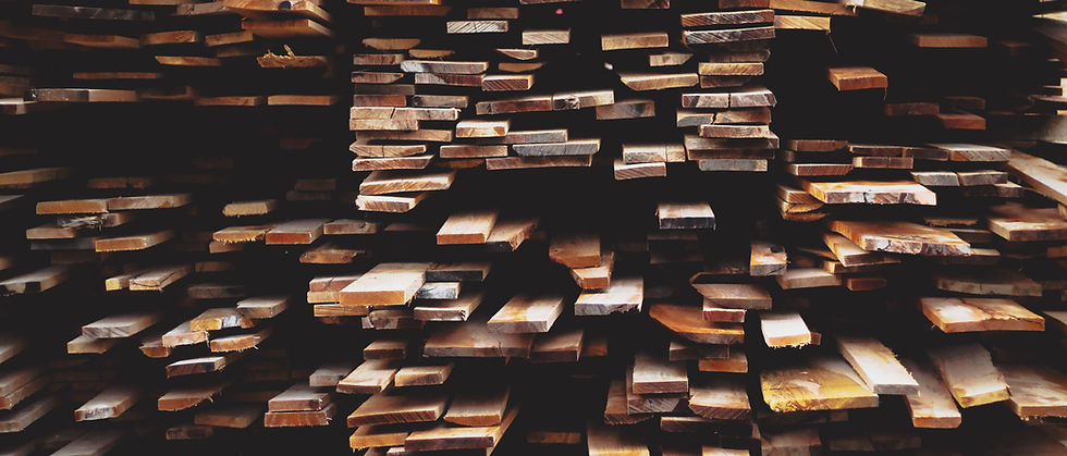 Wood Piles