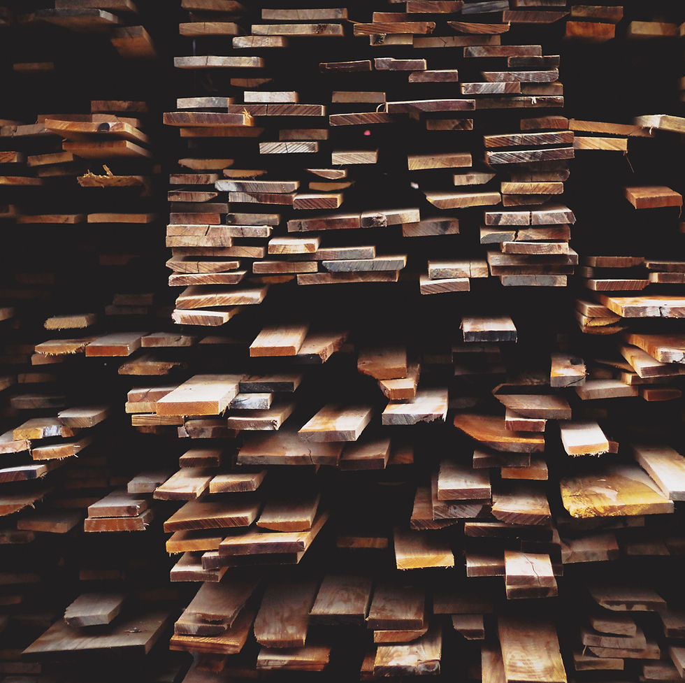 Wood Piles