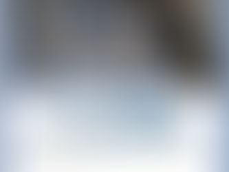 Product Snapshots - Driveline Saver