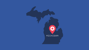 2024 Michigan U.S. Senate Primary Elections