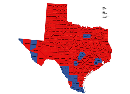 2020 TX Presidential Election.png