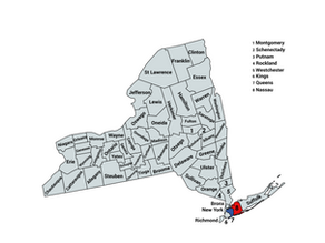 2022 New York 3rd Congressional District Election Results