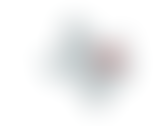 2022 Texas 6th Congressional District Election Results