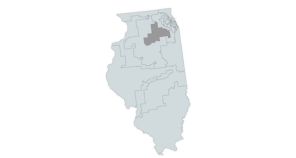2024 Illinois 14th Congressional District Primary Election Results