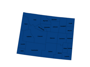 2024 Wyoming U.S. Senate Democratic Primary Election Results 