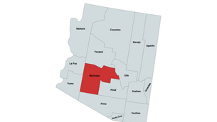 2024 Arizona 4th Congressional District Republican Primary Election Results