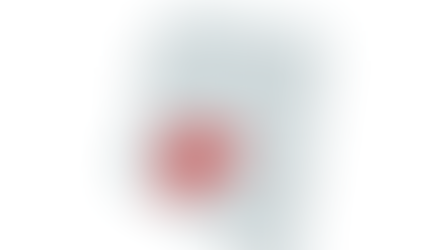 2024 Arizona 4th Congressional District Republican Primary Election Results