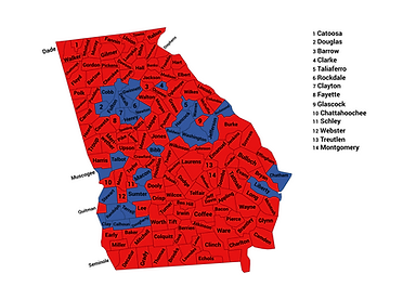 2020 GA Presidential Election.png