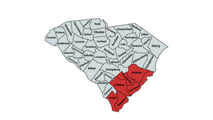 2024 South Carolina 1st Congressional District Republican Party Primary Election Results