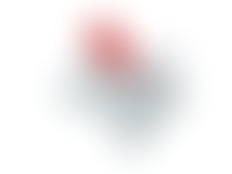 2022 Texas 13th Congressional District Election Results