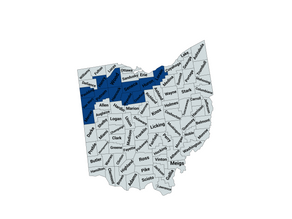 2024 Ohio 5th Congressional District Democratic Primary Election Results