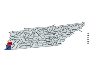 2022 Tennessee 9th Congressional District General Election Results