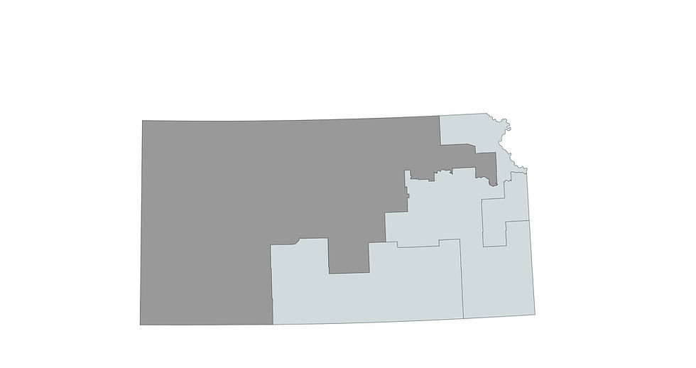 2024 Kansas 1st Congressional District Primary Election Results