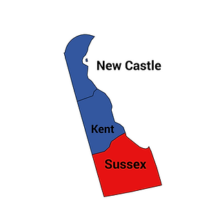 2024 DE Presidential Election.png
