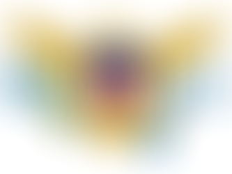 2022 U.S. Virgin Islands Gubernatorial and U.S. House Election Results