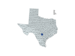 2024 Texas 20th Congressional District Election Results