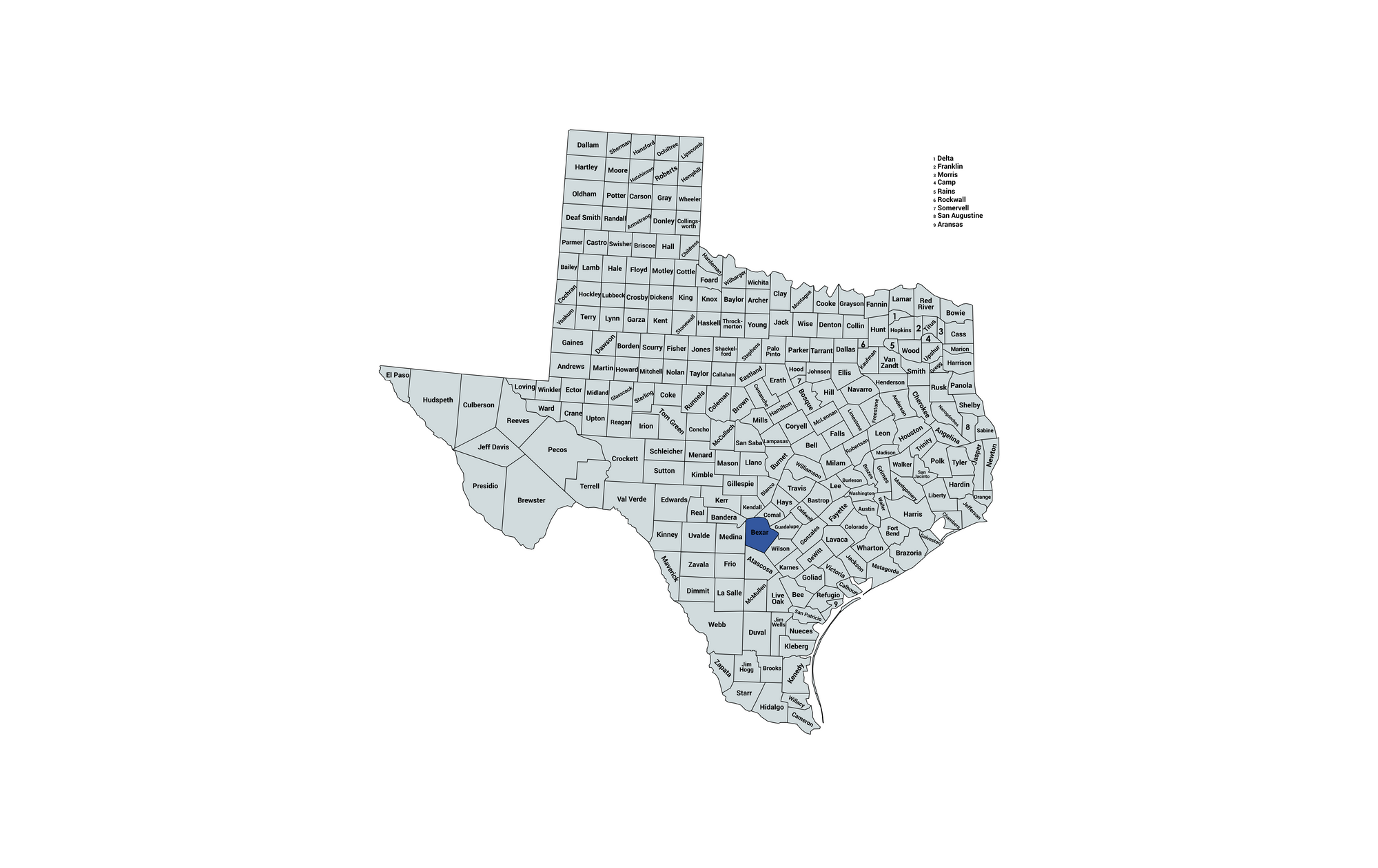 2024 Texas 20th Congressional District Election Results | BallotWire