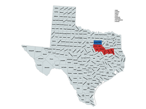 2024 Texas 6th Congressional District Election Results