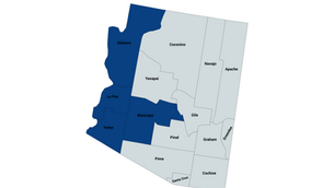 2024 Arizona 9th Congressional District Democratic Primary Election Results
