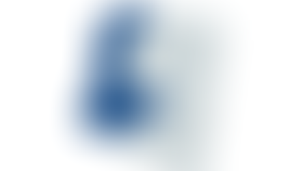 2024 Arizona 9th Congressional District Democratic Primary Election Results