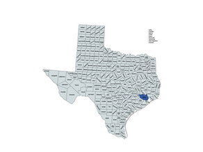 2024 Texas 18th Congressional District Special Election Results